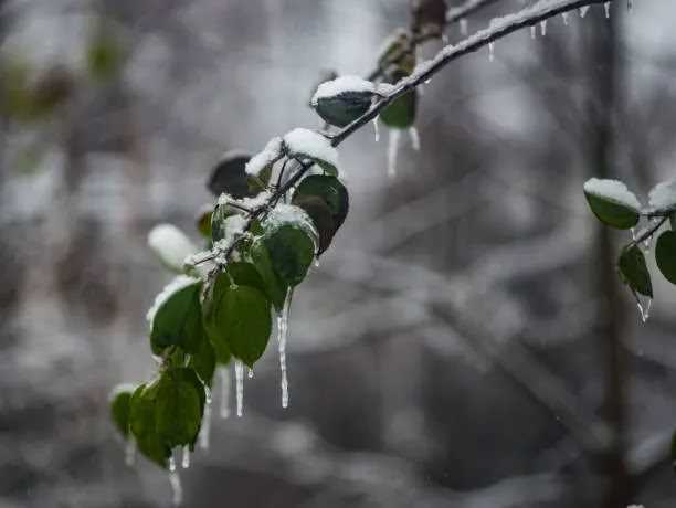 Где смотреть свежее расписание пеших прогулок без оплаты